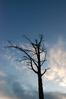 Filename=DSC_0430.JPG
Filesize=226KiB
Dimensions=1296x1936
Date added=Dec 20, 2009 DSC_0430.JPG