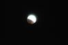 Filename=DSC_0275.JPG
Filesize=136KiB
Dimensions=1549x1037
Date added=Dec 28, 2009 DSC_0275.JPG