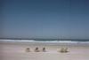 Filename=sam_039.jpg
Filesize=35KiB
Dimensions=960x656
Date added=Oct 08, 2009 sam_039.jpg
