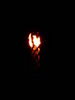 Filename=trn_0601.jpg
Filesize=128KiB
Dimensions=1200x1600
Date added=Oct 05, 2009 trn_0601.jpg