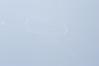 Filename=DSC_0188.JPG
Filesize=68KiB
Dimensions=1936x1296
Date added=Oct 12, 2009 DSC_0188.JPG