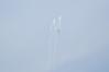 Filename=DSC_0195.JPG
Filesize=69KiB
Dimensions=1936x1296
Date added=Oct 12, 2009 DSC_0195.JPG