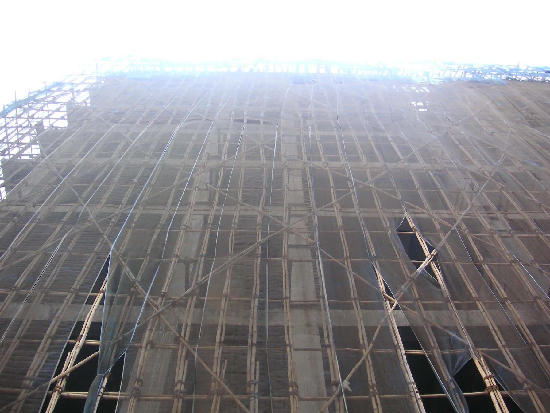 Image from the world